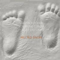 Melted Snow - CD coverart