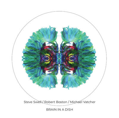 Brain in a Dish - 